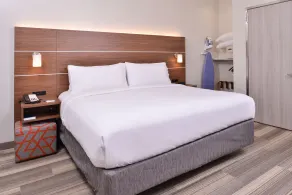 Holiday Inn Express New Orleans - Arts District by IHG - Chambre