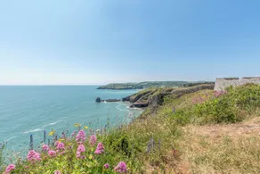 Caravan A10 at Landscove Holiday Park - Diverse