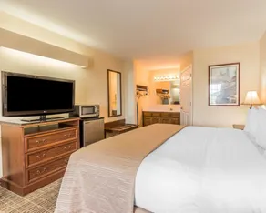 Rodeway Inn Sylacauga Hwy 280 - Værelse