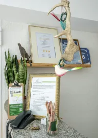 Hotel Haus Nachtigall - B&B - Reception