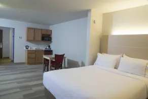 Holiday Inn Express Rochester Hills by IHG - Chambre