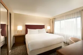 Embassy Suites by Hilton Phoenix Downtown North - Room