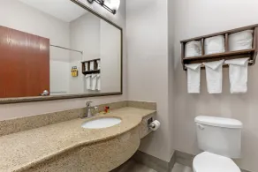 Best Western Plus Lake Dallas Inn & Suites - Bathroom