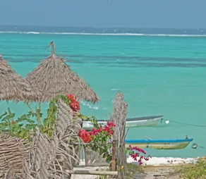 Villa Kiota - View from room