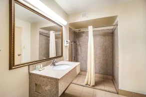 Quality Inn Columbia Airport - Salle de bain