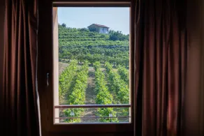 Casa Valdo Country House - Vista dalla camera