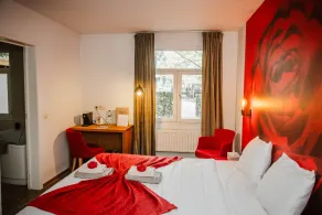 Boutique hotel Roosendaelhof - Room