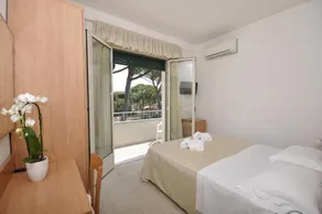 Hotel Airone - Chambre