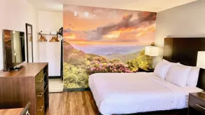 Clarion Pointe - Chambre