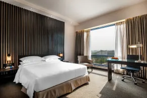 Hyatt Raipur - View from room