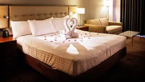 DoubleTree by Hilton Lincoln - Habitación