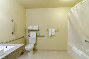 Cobblestone Inn & Suites - Ambridge - Salle de bain