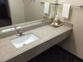 Palace Inn Kingwood - Salle de bain
