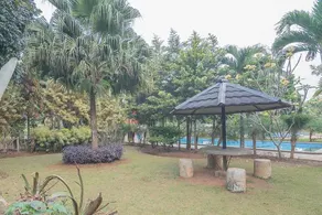 RedDoorz Plus at Hotel Negeri Baru Lodaya Puncak - Pool
