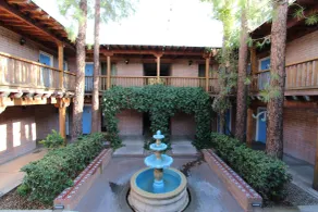 Comfort Suites Tucson near Sabino Canyon - Pool