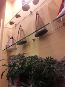Hotel Maxim - Recepção