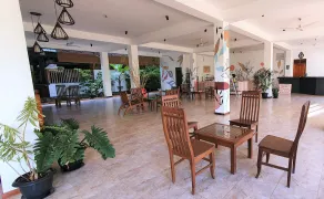 Blue Turtle Hotel - Réception