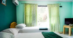 Alicia's Palace - Room