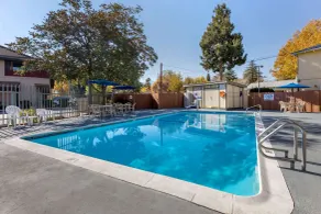 Comfort Inn Bishop - Piscine