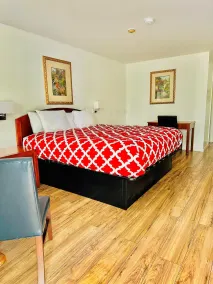 Hampton Motor Inn - Chambre