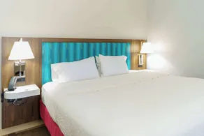 Hampton Inn Garden City - Chambre