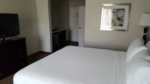 Holiday Inn Express & Suites Tucson North - Marana, by IHG - Chambre
