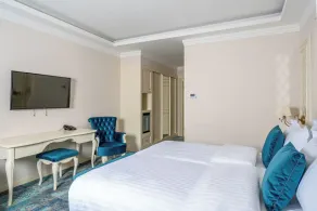 Hotel Leul de Aur - Værelse