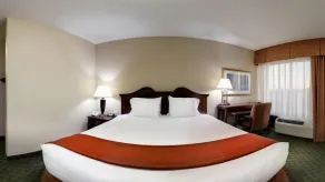 Holiday Inn Express Hotel & Suites Cape Girardeau I-55 by IHG - Room