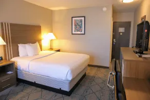 Baymont by Wyndham Effingham - Chambre