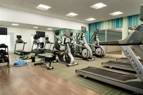Holiday Inn Express & Suites Braselton West by IHG - Fitnesscenter