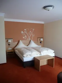 Hotel-Gasthof-Fellner - Værelse