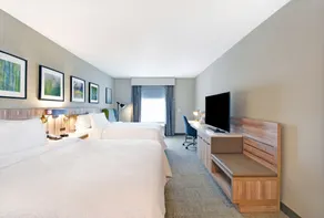 Hilton Garden Inn Houston Hobby Airport, TX - Room