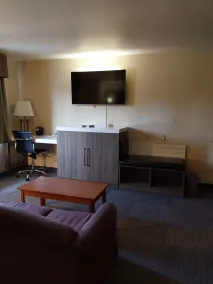 Lavissh Inn and Suites - Chambre
