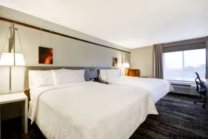 Hilton Garden Inn Austin/Round Rock - Chambre
