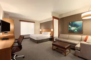 Hyatt Place St. Louis/Chesterfield - Chambre