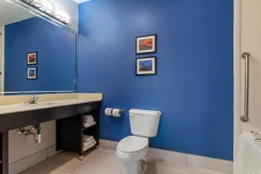 Comfort Suites St Charles-St Louis - Chambre