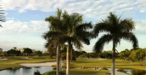 Hampton Inn Boca Raton - Vue de la chambre