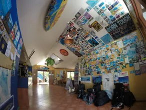 Cool Bananas Backpackers - Reception