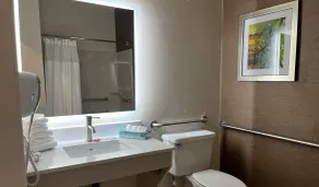Wingate by Wyndham Great Falls - Salle de bain