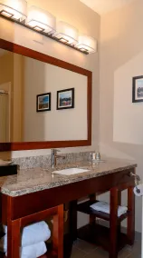 Comfort Inn & Suites Patriots Point - Salle de bain