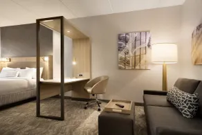 SpringHill Suites by Marriott Allentown Bethlehem/Center Valley - Room