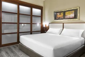 Elba Almeria Business & Convention Hotel - Chambre