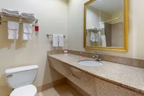 Econo Lodge Eutaw I-20 - Badezimmer