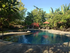 Rini hotel - Pool