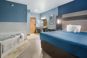 Rodeway Inn Carrollton I-35E - Chambre