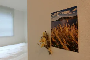 plat hostel keikyu sapporo sky - Room