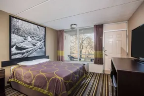 Super 8 by Wyndham Sevierville Riverside - Chambre