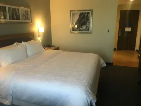 Hampton Inn & Suites by Hilton Salamanca Bajio - Værelse