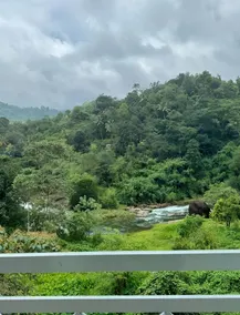Skybz - Mankulam - View from room