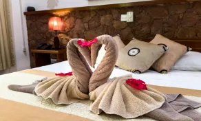 Cocotier du Rocher - Room